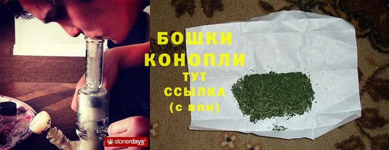 как найти закладки  Старая Купавна  Шишки марихуана SATIVA & INDICA 